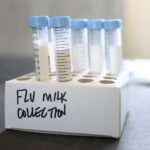 In this photo illustration, milk samples to be tested are seen on a table at the Cornell Teaching Dairy Barn at Cornell University on December 11, 2024 in Ithaca, New York.