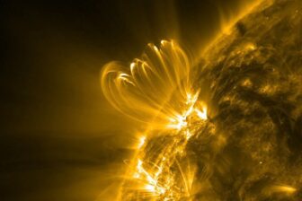 Coronal Loops