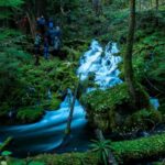 Spring Of Mckenzie River