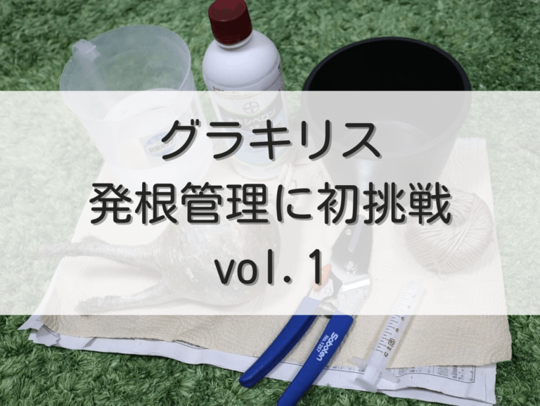 アイキャッチ（発根管理初挑戦）