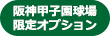 阪神甲子園限定オプション