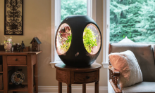 the plantaform on a side table in a living room