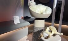 A display featuring the LG AeroCatTower, with a lifelike white cat model resting on the tower's top section and a plush Siamese cat on a smaller platform.