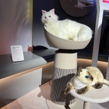 A display featuring the LG AeroCatTower, with a lifelike white cat model resting on the tower's top section and a plush Siamese cat on a smaller platform.