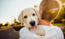 man carrying dog over his shoulder