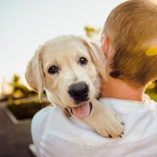 man carrying dog over his shoulder