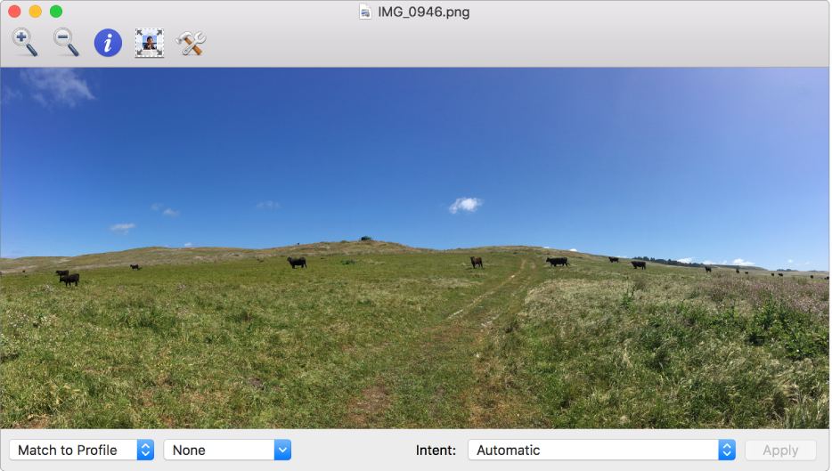 An image of cows in a field in the ColorSync Utility window.