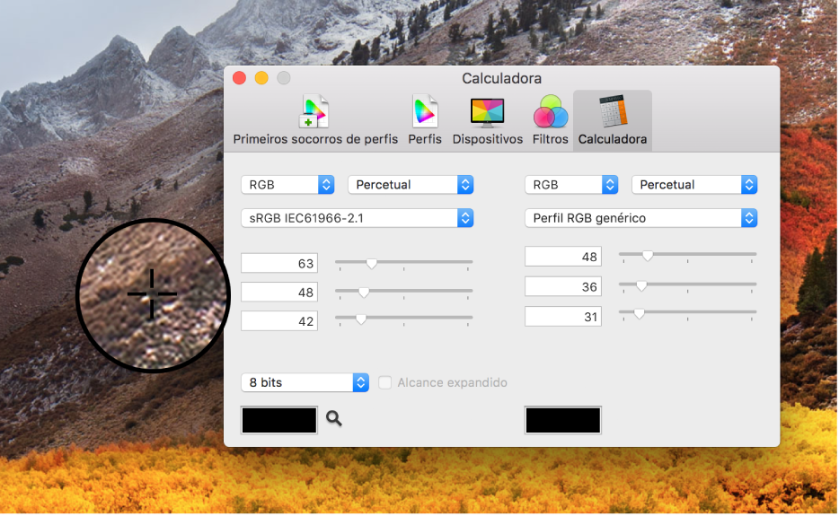 O painel da Calculadora a mostrar os valores de cor de um píxel em dois perfis de cor diferentes.