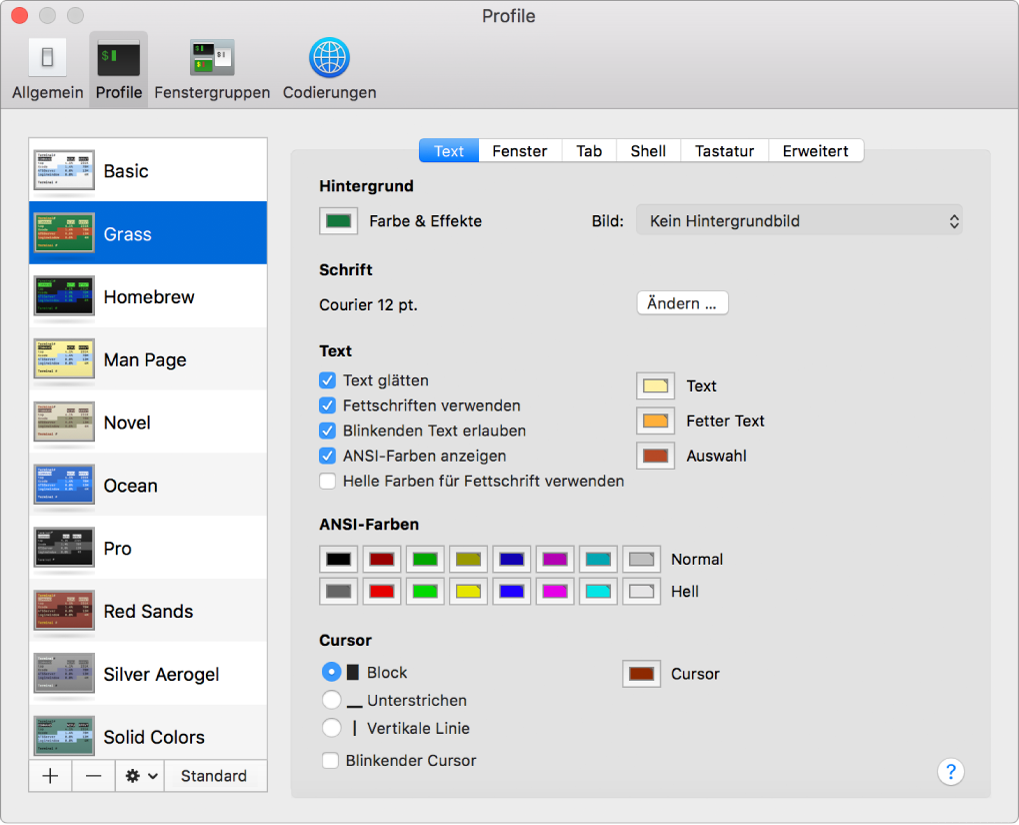 Der Bereich mit Terminal-Profilen und dem ausgewählten Profil „Grass“.