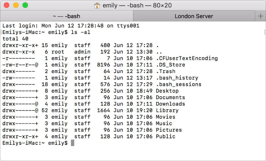 A Terminal window, showing the output of the list directory contents command, and another tab called London Server.