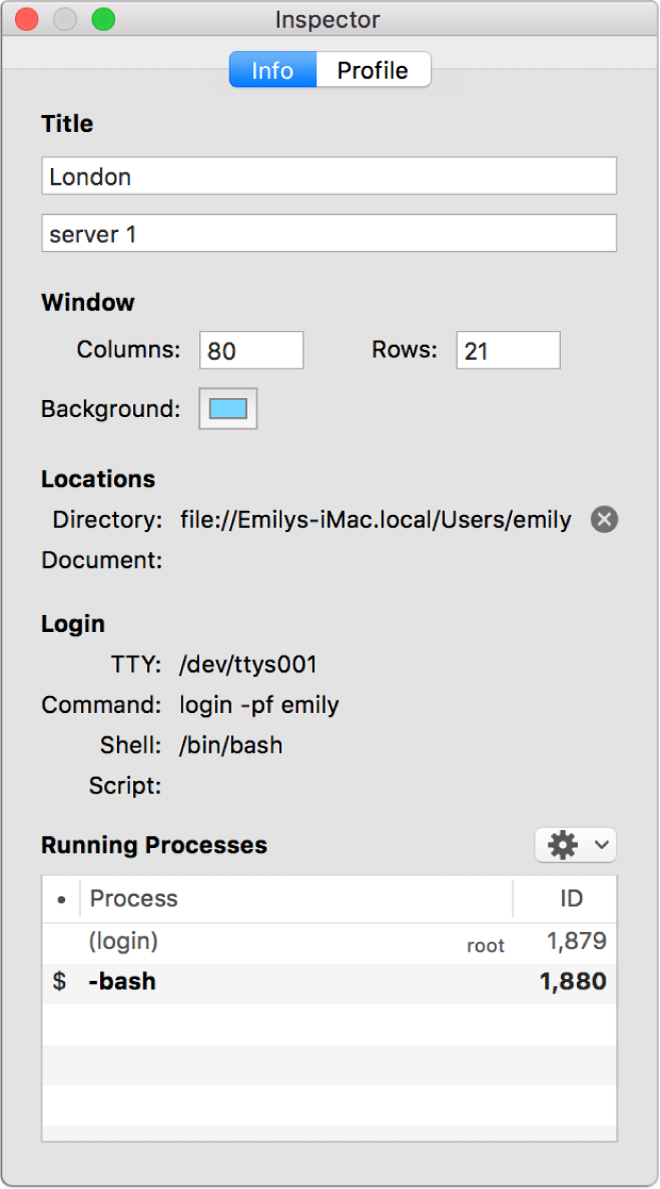 The Inspector pane in Terminal.