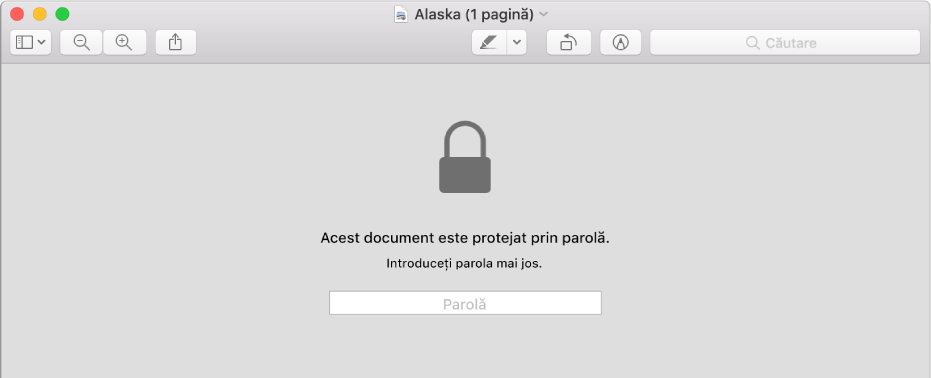 Un PDF protejat cu parolă.