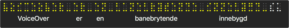 Punktskriftpanelet viser simulerte gule punktskriftprikker. Tekst under prikkene viser hva VoiceOver leser opp for øyeblikket.