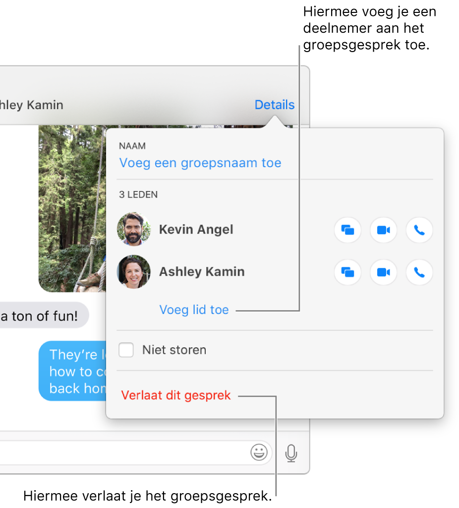 Detailweergave, die verschijnt als je in een groepsconversatie op 'Details' klikt. 'Voeg lid toe' wordt onder de naam van de laatste deelnemer in de lijst weergegeven. 'Verlaat dit gesprek' wordt onder in het dialoogvenster weergegeven.