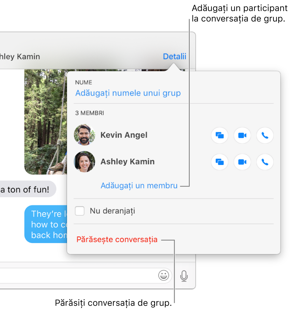 Vizualizarea Detalii care apare după ce faceți clic pe Detalii în cadrul unei conversații de grup. Sub numele ultimului participant din listă apare Adăugați un membru și Părăsește conversația se află în partea de jos a casetei de dialog.