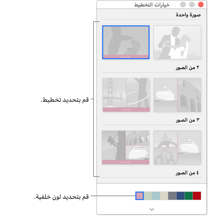 نافذة خيارات التخطيط لبطاقة.