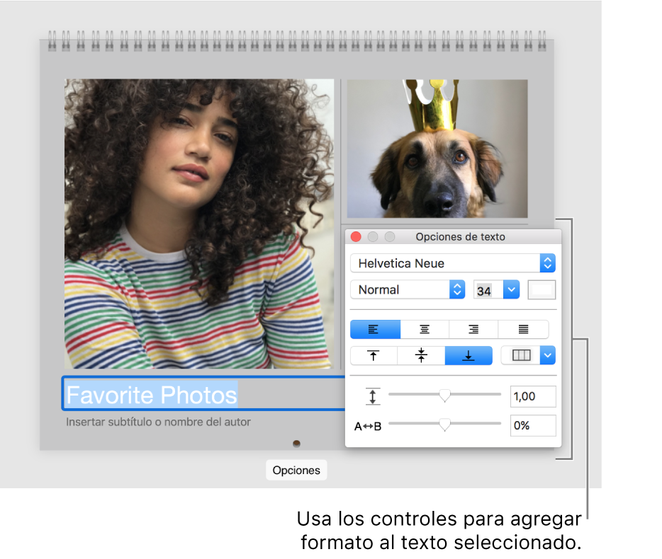 Una foto con texto seleccionado debajo de ella y la ventana "Opciones de texto" a la derecha.