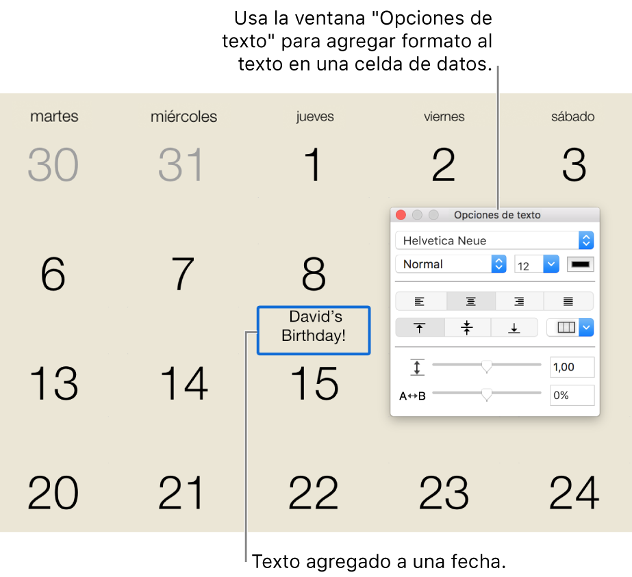 Una fecha de calendario con texto agregado y la ventana “Opciones de texto” a la derecha.