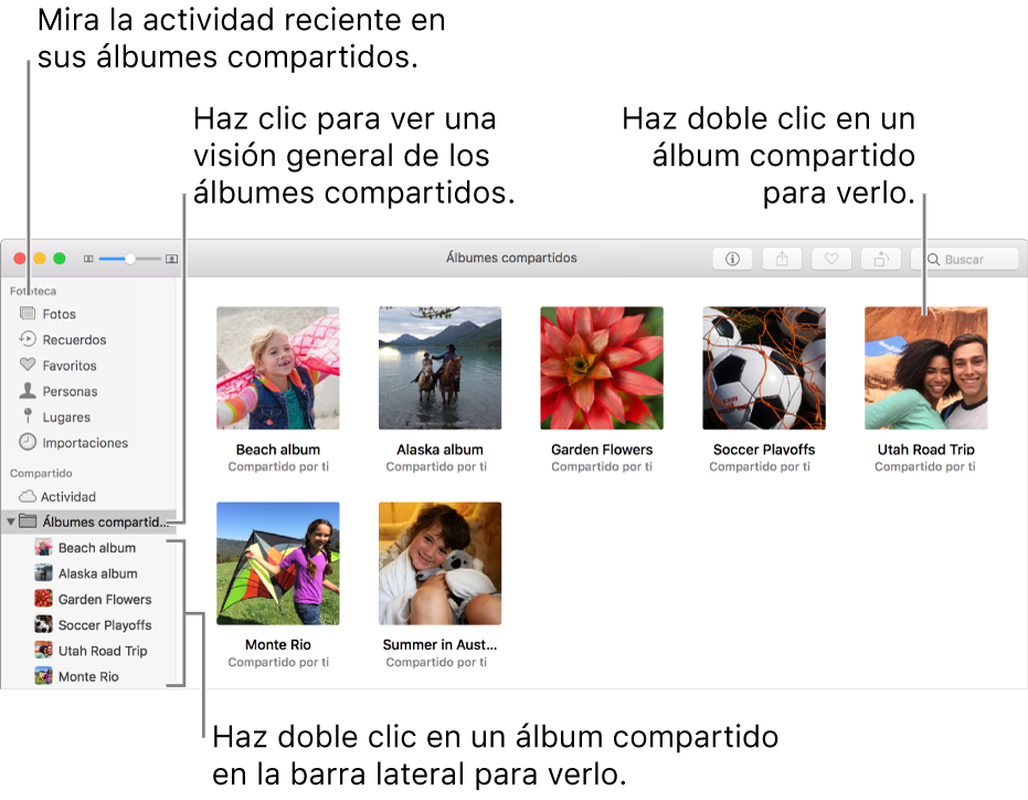 Panel Compartido de la ventana de Fotos con los álbumes compartidos a la vista.