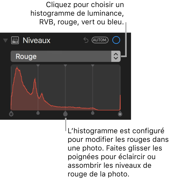 Commandes de niveaux et histogramme permettant de modifier les rouges dans une photo.