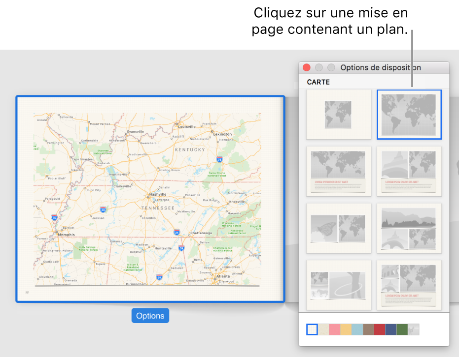 Fenêtre des options de disposition affichant des dispositions de plan.