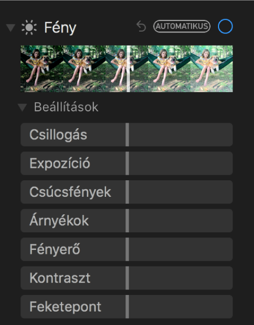 A Beállítás panel Fény területe a Csillogás, Expozíció, Csúcsfények, Árnyékok, Fényerő, Kontraszt és Feketepont csúszkákkal.