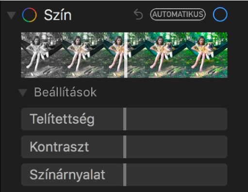 A Beállítás panel Szín területe a Telítettség, a Kontraszt és a Színárnyalat csúszkákkal.