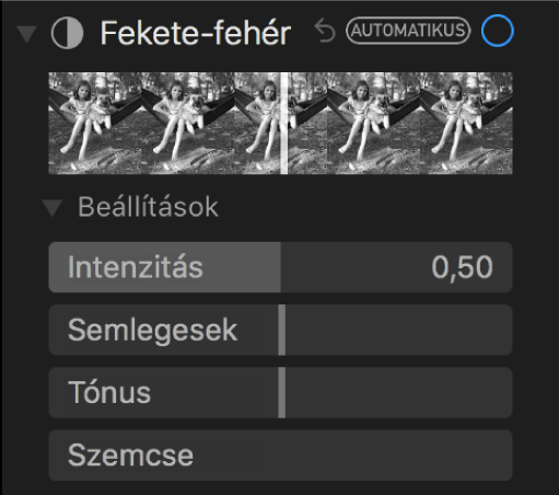 A Beállítás panel Fekete-fehér terület az Intenzitás, a Semleges területek, a Tónus és a Szemcse csúszkákkal.