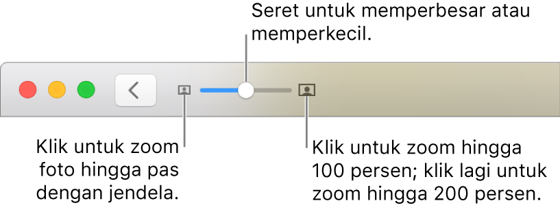 Bar alat menampilkan kontrol zoom.