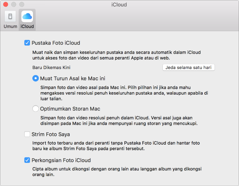 Anak tetingkap iCloud dari keutamaan Foto.