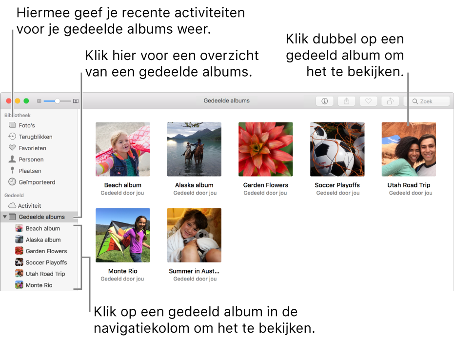 Het paneel 'Gedeeld' van het Foto's-venster, met gedeelde albums.