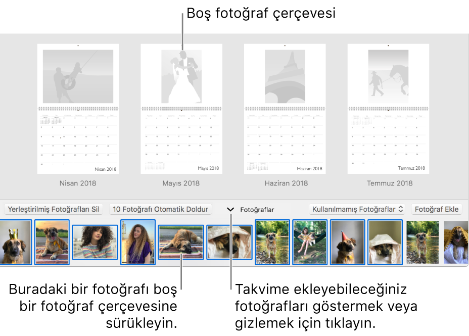 Alt tarafında Fotoğraflar alanı olan bir takvimin sayfalarını gösteren bir Fotoğraflar penceresi.