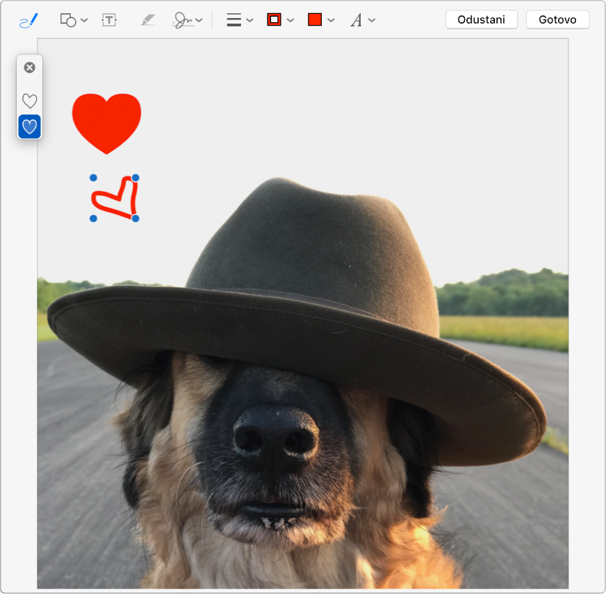 Slika sa srcem koje je na nju nacrtano pomoću alata za obilježavanje.