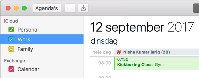 Een Agenda-venster in de dagweergave met een privé-, werk- en gezinsagenda in verschillende kleuren in de navigatiekolom onder de iCloud-account en een andere agenda onder de Exchange-account.