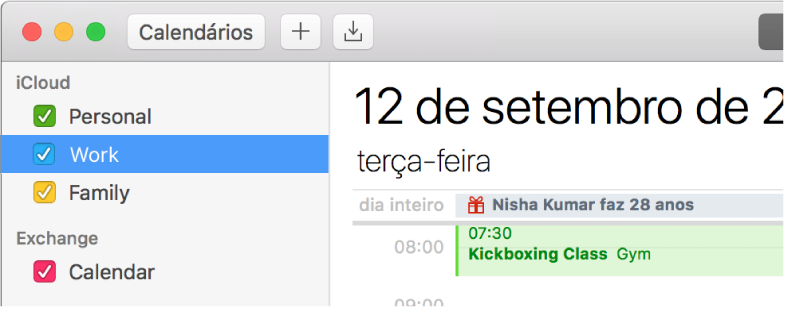 Janela do Calendário em visualização por Dia mostrando calendários de cores diferentes (pessoal, trabalho e família) na barra lateral abaixo da conta iCloud e outro calendário abaixo da conta Exchange.