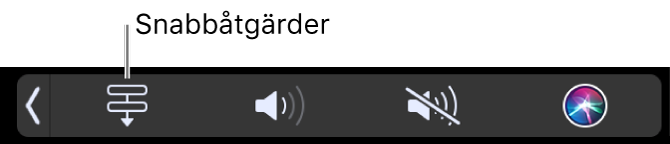 Snabbåtgärdsknappen i Touch Bars Control Strip.
