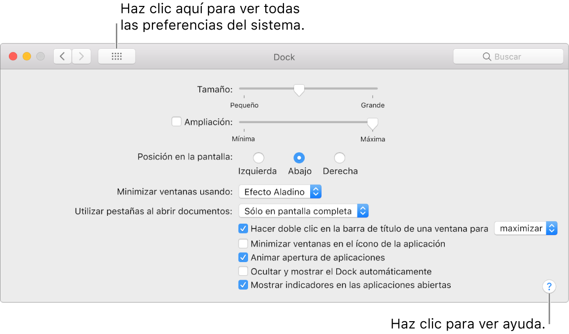 Haz clic en “Mostrar todo” para ver todos los íconos de preferencias. Haz clic en el botón con el signo de interrogación para ver la ayuda del panel.