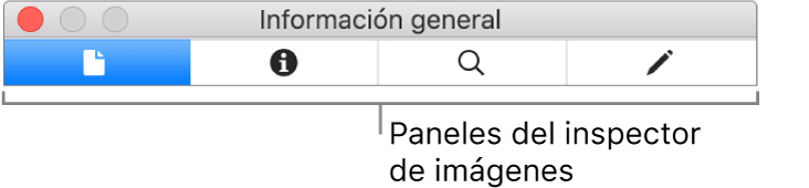 Paneles del inspector de imagen.