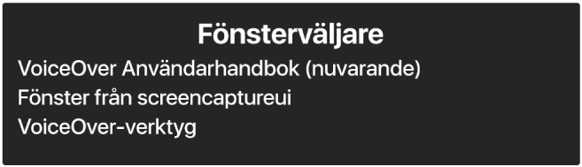 Fönsterväljaren är en panel som visar en lista över de fönster som är öppna.