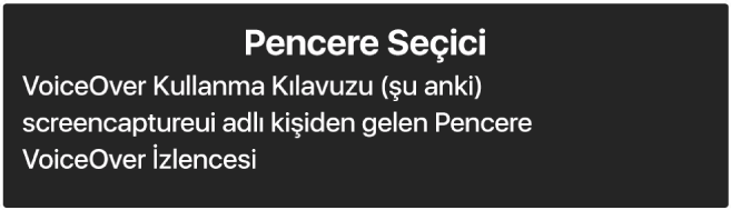 Pencere Seçici, o anda açık olan pencerelerin listesini gösteren bir paneldir.