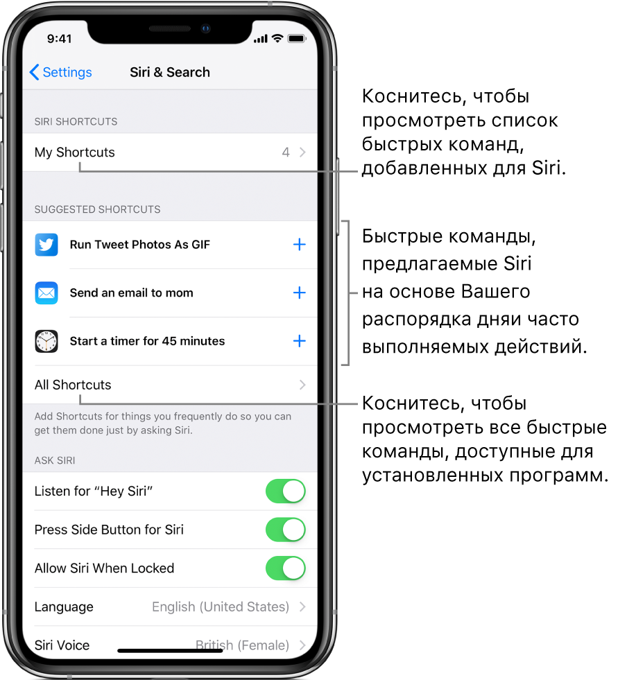 Предложения быстрых команд от Siri в Настройках.
