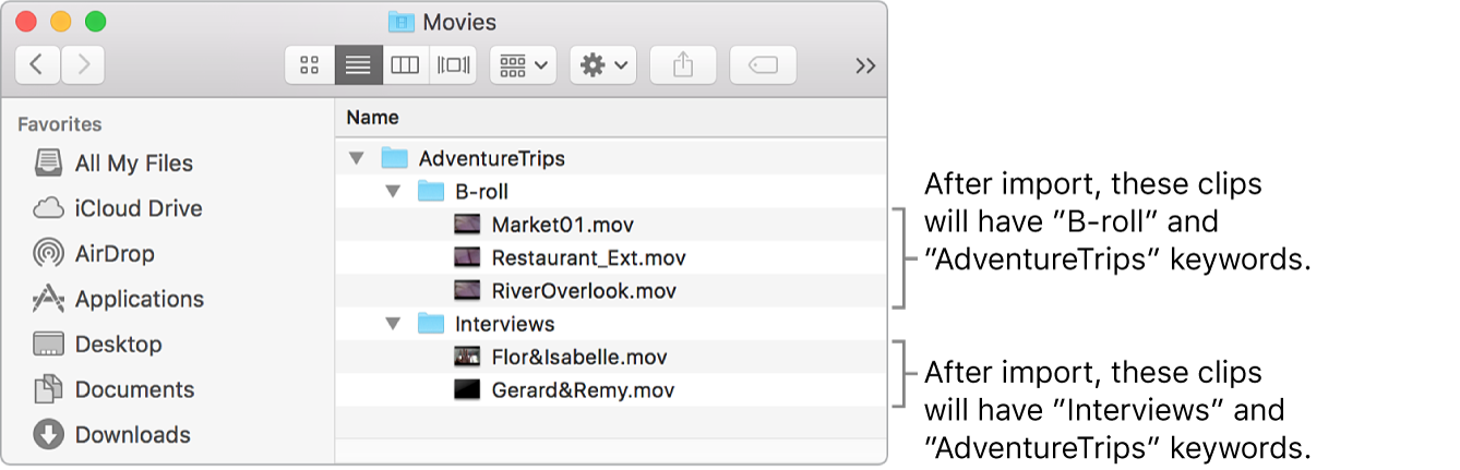 The Finder displaying source media inside folders