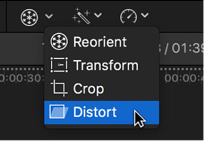 The Distort menu item for accessing the Distort controls