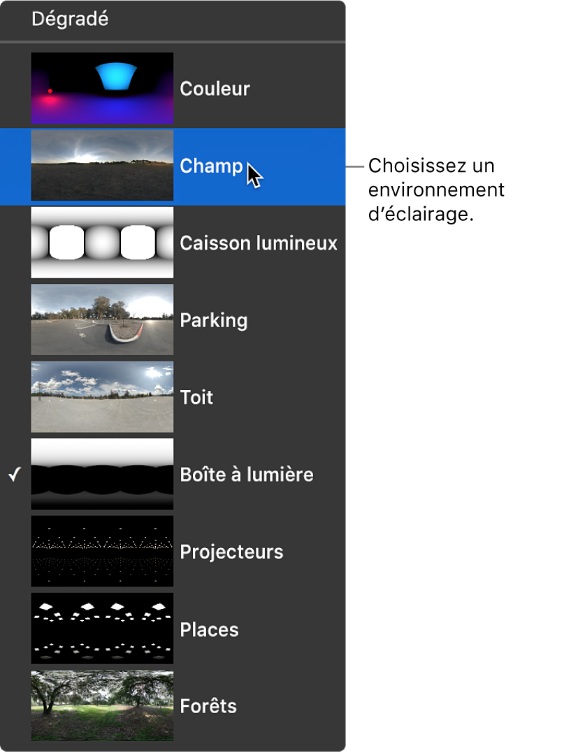 Environnements d’éclairage prédéfinis dans le menu local Type