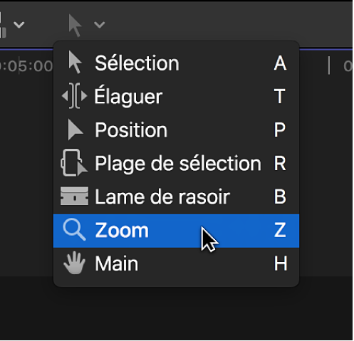 Outil Zoom dans le menu local Outils