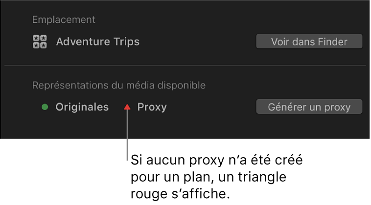 Inspecteur d’informations affichant un triangle rouge indiquant qu’aucun fichier proxy n’existe pour le plan sélectionné