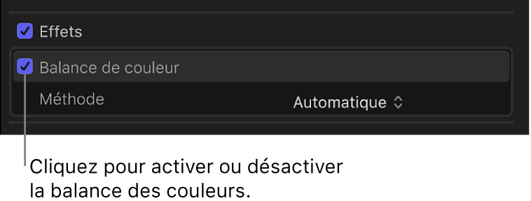 Section Effets de l’inspecteur vidéo montrant la case Balance des couleurs et l’état de l’analyse de la balance des couleurs