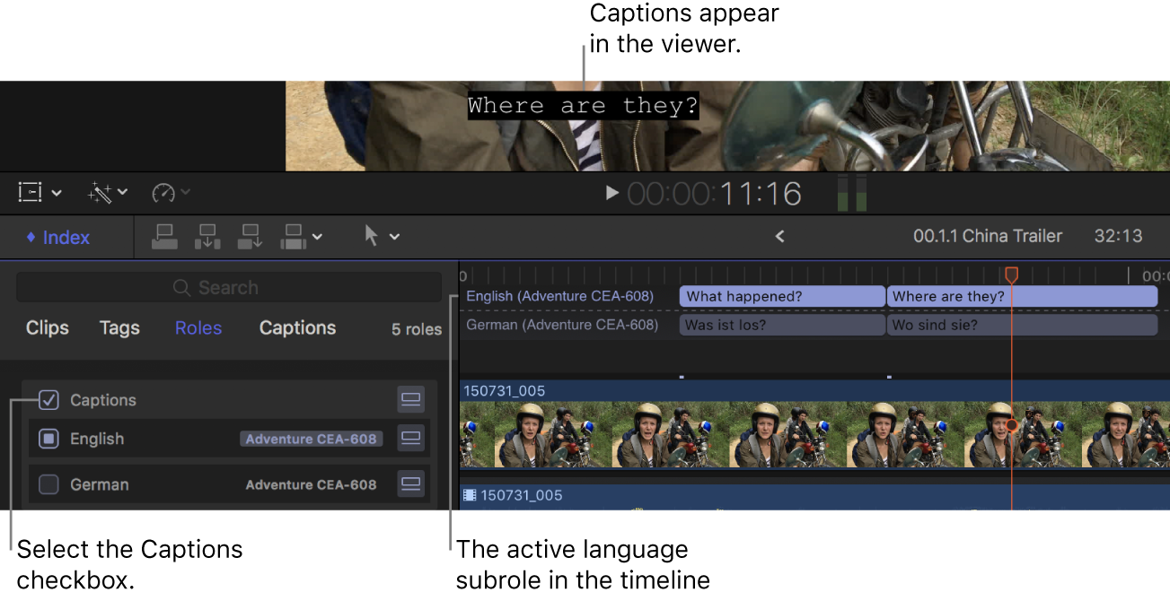时间线索引中的“字幕”复选框已选中，同时活跃语言子角色的字幕显示在检视器中