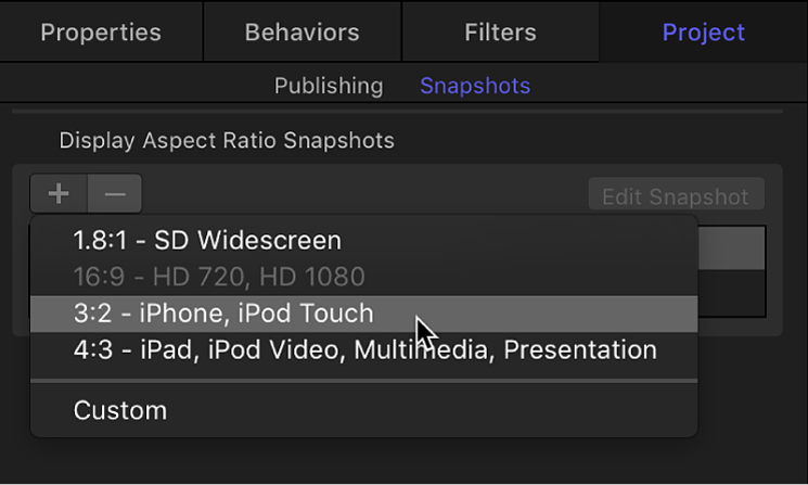 Snapshots pane in Project Inspector showing new display aspect ratio options