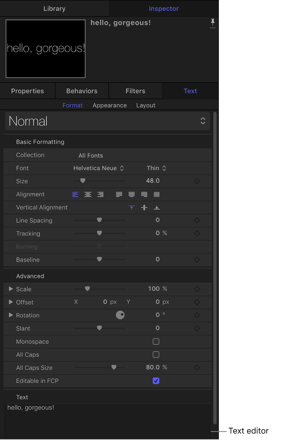 Format pane of the Text Inspector showing Text editor